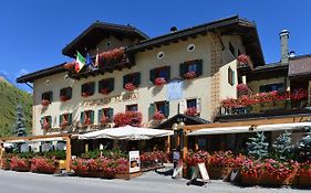 Hotel Alpina